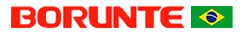 Borunte Brasil